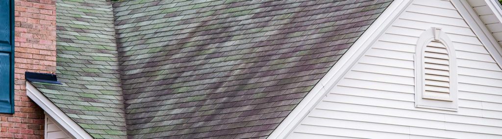 Black Streaks on Roof Shingles